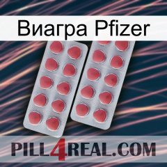 Виагра Pfizer 19